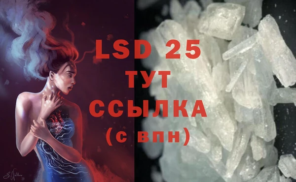 прущие грибы Киреевск