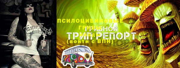 apvp Алзамай