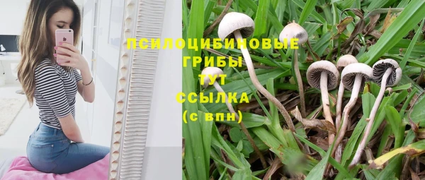 мяу мяу кристалл Алексин